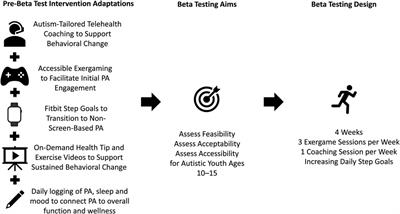GamerFit-ASD beta test: adapting an evidence-based exergaming and telehealth coaching intervention for autistic youth